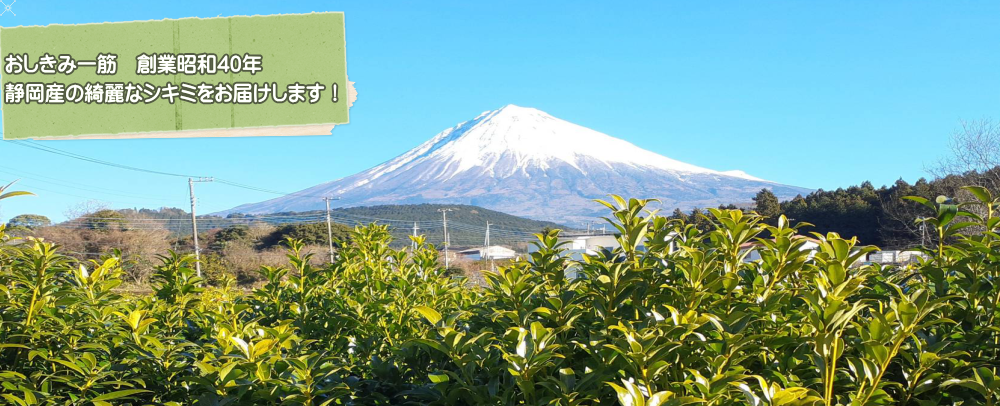 ヘッダーイメージ