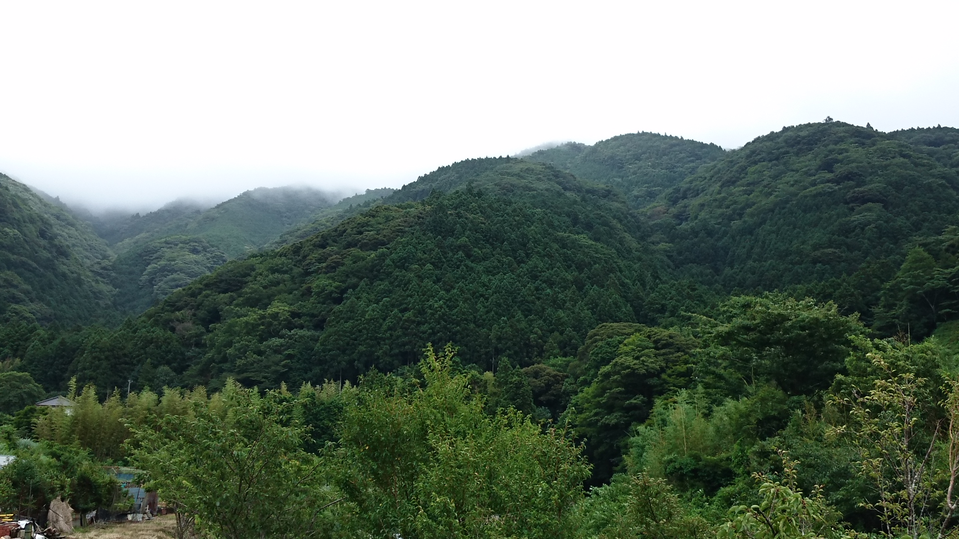 wp-1437254644780 image