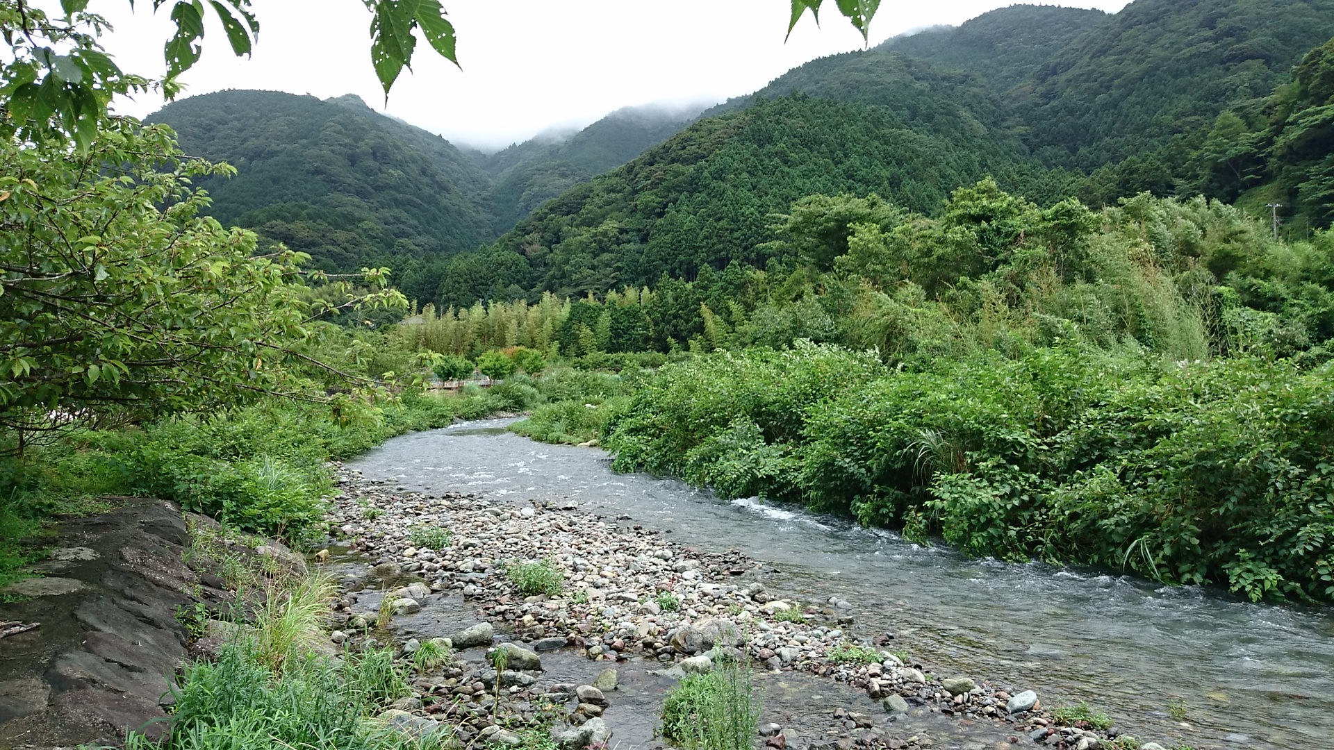 wp-1437254737716 image